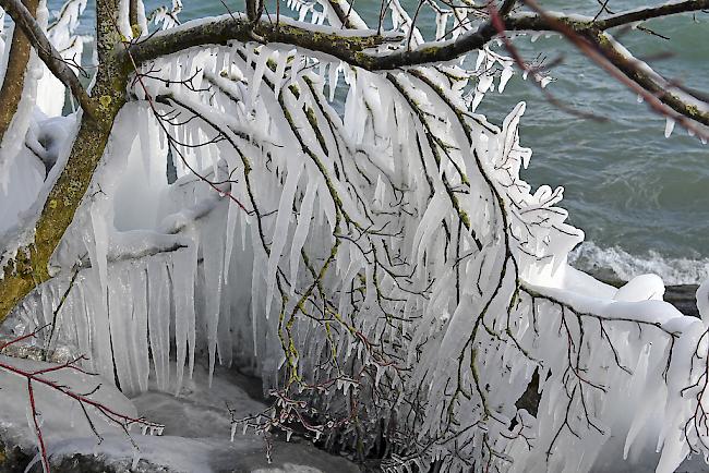 Eiszauber am Hafen in Romanshorn am Bodensee am Montag.