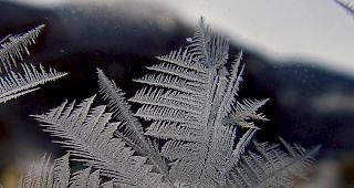 Trotz K&auml;ltewelle war der Winter 2017/2018 leicht zu warm.