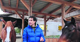 Pferdefl&uuml;sterer. Den Pferden schienen die Zaubertricks von Lionel Dellberg zu gefallen. 