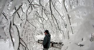 Oberhalb von Chur GR ist am Samstag ein Wanderer t&ouml;dlich verungl&uuml;ckt. 