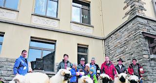 Kategoriensieger. F&uuml;r die sch&ouml;nsten Tiere war ein Podestplatz reserviert. 