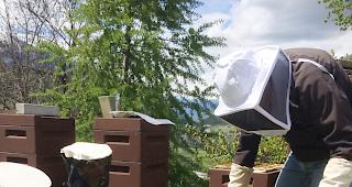 Spannend. Die Sch&uuml;ler lernen im Landschaftspark Binntal spielerisch die Natur und deren Nutzen kennen.