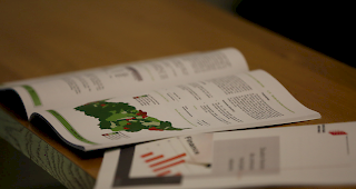 Sehr gut. Die Nettoverschuldung pro Einwohner ist im Wallis gering.