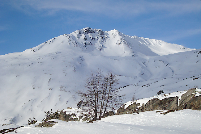 Das Tochuhorn im Simplongebiet. Die Fünfergruppe kam bis zum Gipfel.