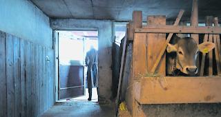 Problematische Betriebe sollen vermehrt unangemeldet kontrolliert werden. (Symbolbild)