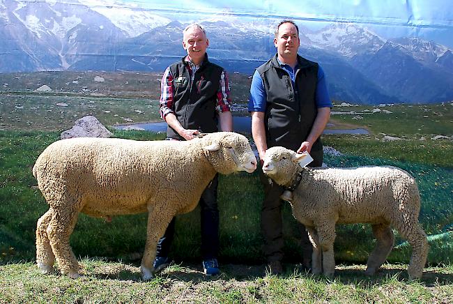 Stolz. Mario Furrer (links) und Rinaldo Imhasly haben derzeit die schönsten WAS-Tiere im Stall.