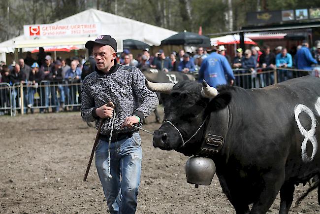 Impressionen vom Frühjahrs-Match Goler 