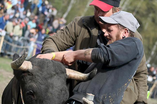 Impressionen vom Frühjahrs-Match Goler 