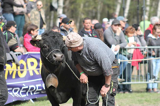 Impressionen vom Frühjahrs-Match Goler 