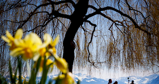Fr&uuml;hling. Wie hier am Genfersee genossen viele Menschen am Wochenende pr&auml;chtiges Fr&uuml;hlingswetter mit warmen Temperaturen.