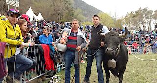 Siegerin der Kategorie I