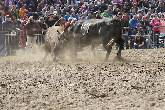 Impressionen vom Frühjahrs-Match Goler 