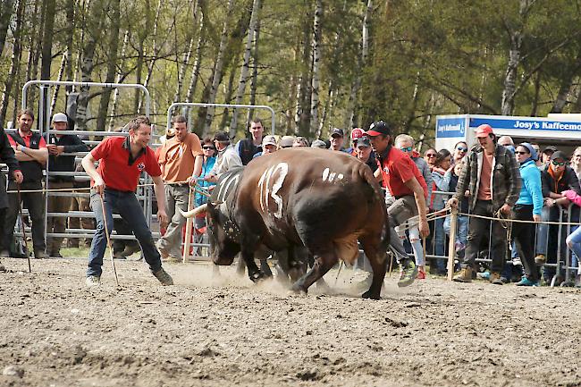 Impressionen vom Frühjahrs-Match Goler 