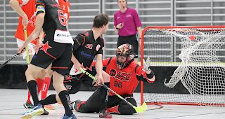 Am vergangenen Wochenende bestritten die Herren der UHC Visper Lions ihr 4. Aufstiegsspiel. Die Partie endete mit einer Niederlage f&uuml;r die Walliser. 