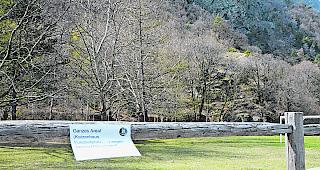 Entwarnung. Nach R&uuml;cksprache mit Fachleuten des Kantons konnte die Gemeinde den Fussballplatz beim &laquo;Chatzuh&uuml;s&raquo; gestern wieder freigeben. Der Erholungsraum soll am Wochenende folgen.  