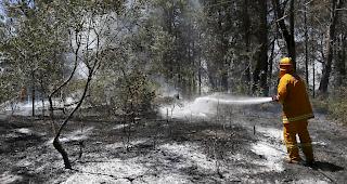 Nahe der Grossstadt Sydney ist am Samstag ein Buschfeuer ausgebrochen. Hunderte Feuerwehrleute waren mit der Brandbek&auml;mpfung besch&auml;ftigt. 