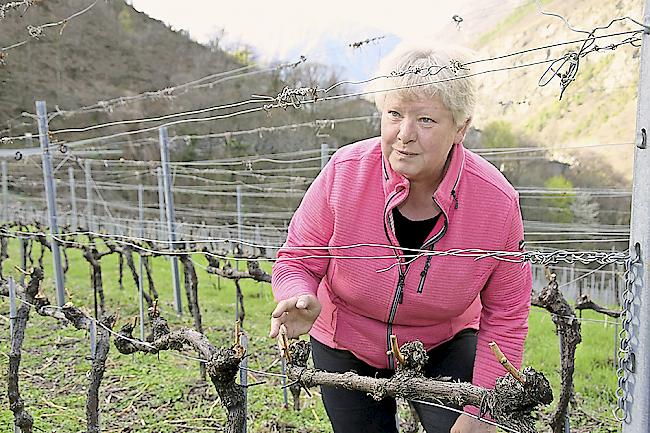 Winzerin Asella Imhasly ist enttäuscht vom Kanton.