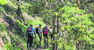 Die Forscher fanden keinen statistisch klaren Zusammenhang zwischen der steigenden Temperatur und der Ausbreitung der W&auml;lder. (Symbolbild)