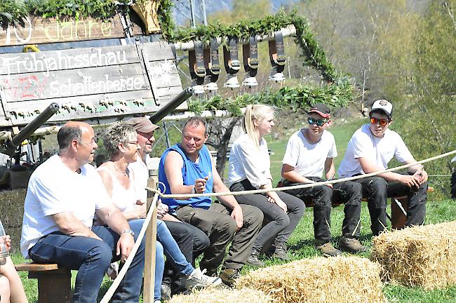 Impressionen der Jubiläumsschau in Unterbäch.