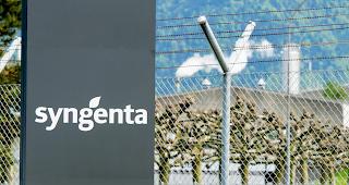 Syngenta ist weltweit einer der gr&ouml;ssten Konzerne im Agrargesch&auml;ft. In der Produktion in Monthey werden 870 Personen besch&auml;ftigt. 