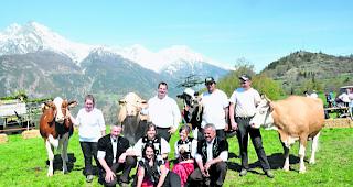 Vier Missen. Die Sieger der Kategorien Simmental (Armin Eggs), Swiss Fleckvieh und Red Holstein/ Holstein (beide Fabian Lengen, Mitte) mit der Miss Schattenberge Jane (Zweite von rechts) von Nicolas und Carmen L&ouml;tscher sowie die Speakerin (vorn) zusammen mit den Experten und Ehrendamen. 