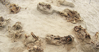 Gruseliger Fund. Ein von &laquo;National Geographic&raquo; zur Verf&uuml;gung gestelltes Foto zeigt mehrere &uuml;ber 500 Jahre alte Skelette an ihrem Fundort Huanchaquito-Las Llamas.