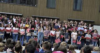 Rund 230 Sch&uuml;lerinnen und Sch&uuml;ler haben sich am Projekt beteiligt.