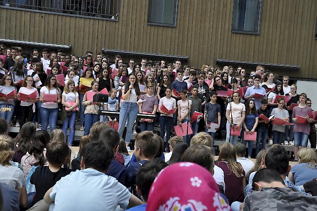 Rund 230 Schülerinnen und Schüler haben sich am Projekt beteiligt.