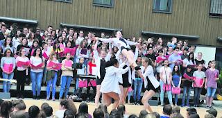 Ein Schwan. Darbietung der Tanzgruppe w&auml;hrend der Feierlichkeiten im Aletsch Campus. 