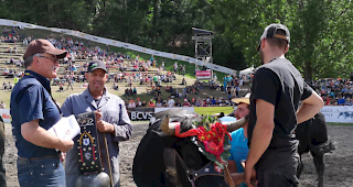 &laquo;Norton&raquo; von Michel de Louis Besse-Joulin aus Bruson ist Nationale Rinder-K&ouml;nigin.