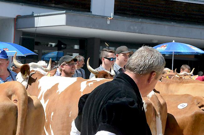 Impressionen der Jubiläumsschau. 