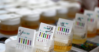 Aufgeflogen. Polizisten der Provinz Verbania haben am Montag 13 mutmassliche Drogendealer festgenommen, die Rauschgift in die Schweiz schmuggeln wollten. (Symbolbild)