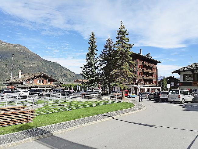 Die drei alten Tannen auf dem Dorfplatz in Grächen …