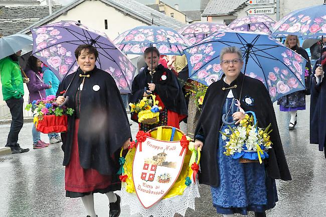 Impressionen des 81. Bezirksmusikfests des Bezirks Brig in Simplon Dorf.