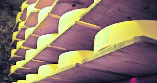 Weniger Staphylokokken. Die DVSV musste in der K&auml;seproduktion deutlich weniger Beanstandungen aussprechen.  