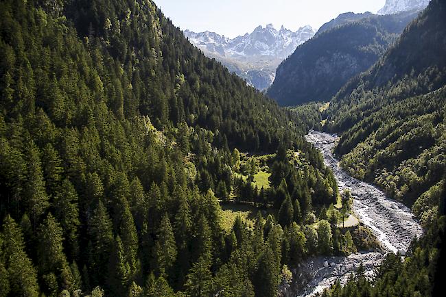 Im  Val Bondasca drohen weiterhin Feslstürze und Murgänge. Voraussichtlich bleibt das Seitental bei Bondo das ganze Jahr über gesperrt.