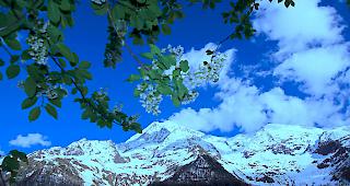 Der Mai zeigt sich bisher eher gem&auml;ssigt.