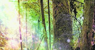 Letzter und allerletzter? Szene aus &laquo;Shana  &ndash;  Die Wolfsmusik&raquo;: Ist der letzte Film der &laquo;Zauberlaterne&raquo;-Reihe 2018 der allerletzte in der Geschichte der &laquo;Zauberlaterne Brig&raquo;? 