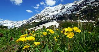 Wir d&uuml;rfen uns auf einen heissen und trockenen Sommer einstellen.