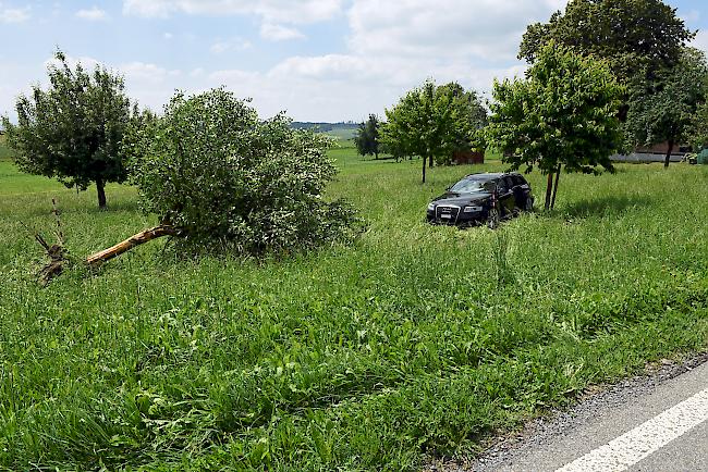 Keine Verletzten, aber ein gefällter Apfelbaum...