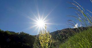 Auch dem Wallis steht eine weitere Hitzewelle bevor. 