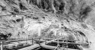 Tiefe Preise. Dividenden gibt es derzeit nicht.  