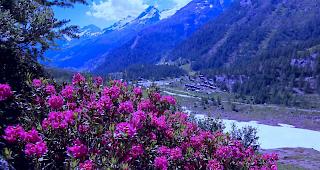 Das Sommerende f&auml;llt bew&ouml;lkt aus, zeitweise f&auml;llt etwas Regen.