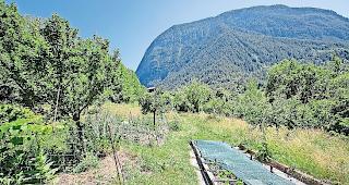 Permakultur-Garten. Wenig Hand anlegen.
