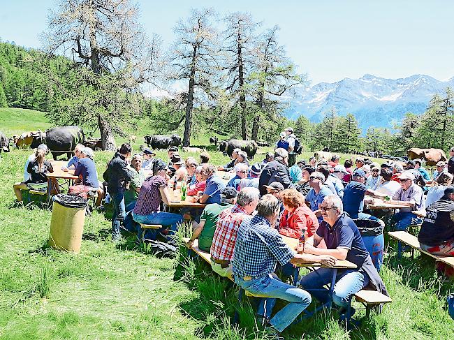 Prächtige Stimmung. Bei strahlendem Sonnenschein fanden zahlreiche Besucher den Weg auf die Moosalp.Fotos Wb