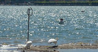 Im vergangenen Jahr sind 21 Personen in Seen ertrunken. 