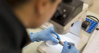 Ostasien interessiert sich immer mehr f&uuml;r die anwendungsorientierten Forschungsarbeiten der Institute Life Technologies und Systemtechnik der Hochschule f&uuml;r Ingenieurwissenschaften Wallis. (Symbolbild)