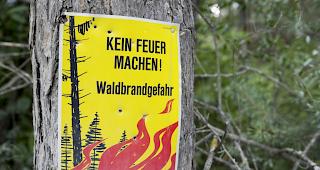 Im Wallis herrscht derzeit grosse Waldbrandgefahr.&nbsp;