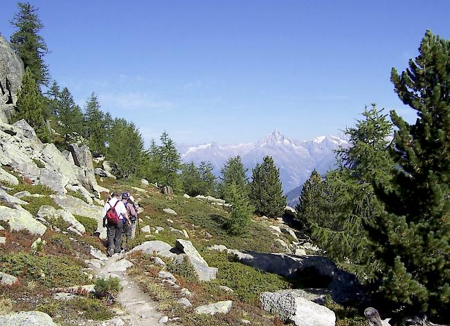 Der Höhenweg Grächen - Saas-Fee ist aber sofort offen.  