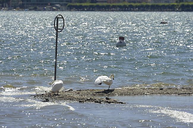 Am Sonntagabend ereignete sich in einem See im Burgund ein tragischer Badeunfall. 